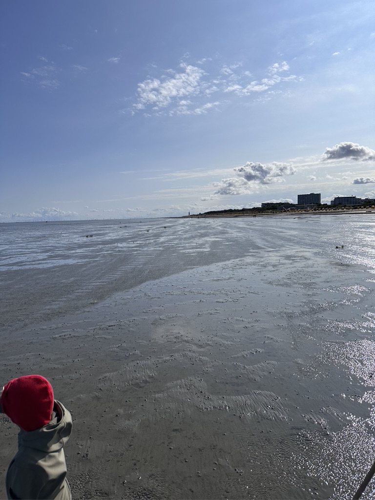 Dieses Bild hat ein leeres alt-Attribut; sein Dateiname ist 6880c334-5bab-4215-af05-65686ab0bdb2_1_105_c.jpeg